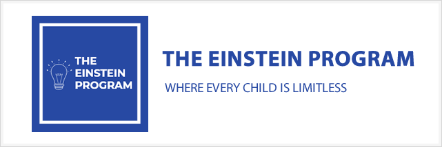 Einstein Program
